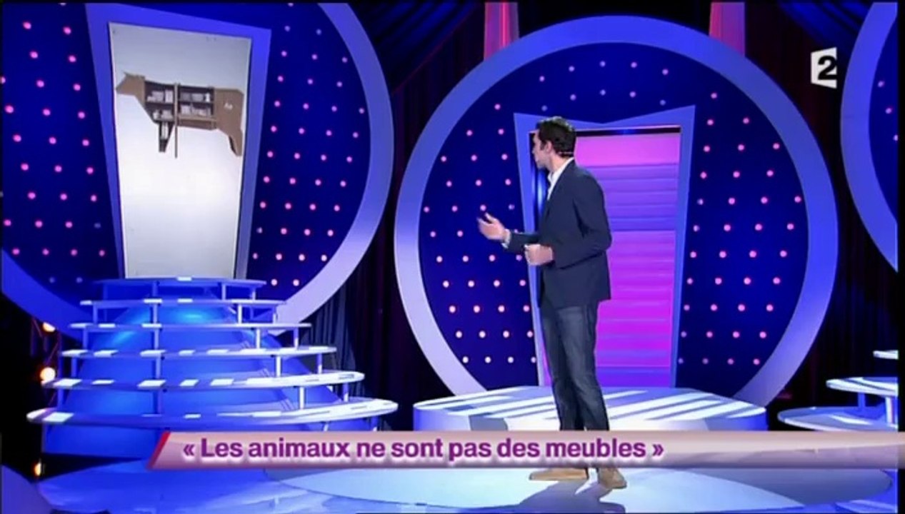 Ben - Les animaux ne sont pas des meubles
