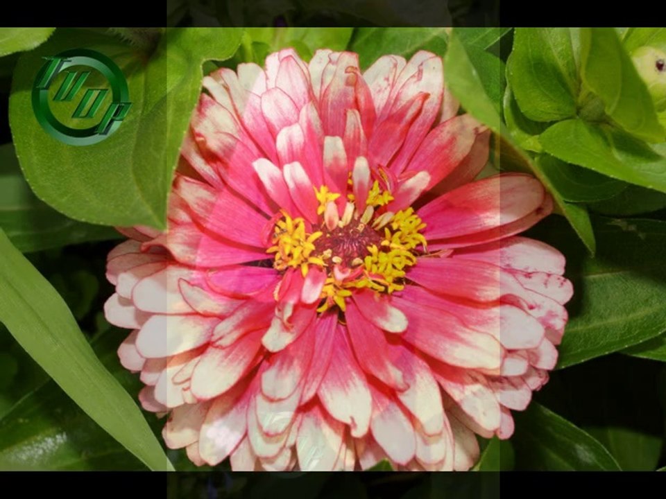 TRUE VINE DIGITAL PHOTOGRAPHY @2014