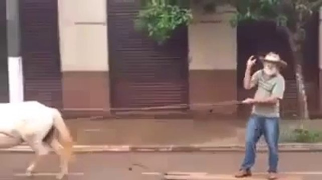 Faire du surf dans la rue, tiré par un cheval!