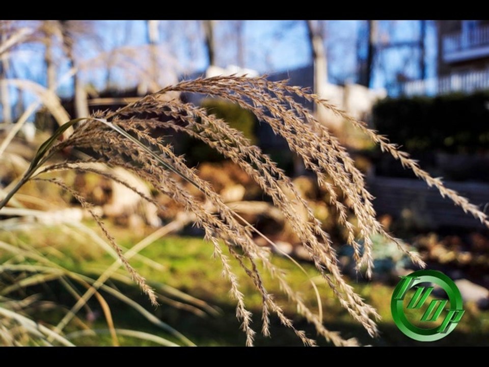 TRUE VINE DIGITAL PHOTOGRAPHY @2014