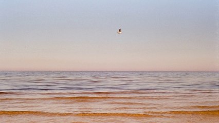 What You Can Learn From Competing Ebay Auctions.