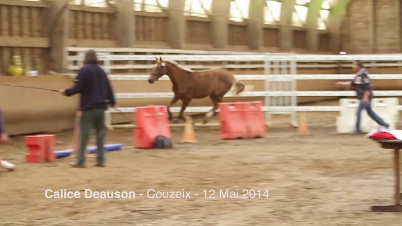 20140512_Couzeix_Calice
