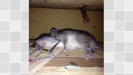 How to Start an Affordable Internet Business