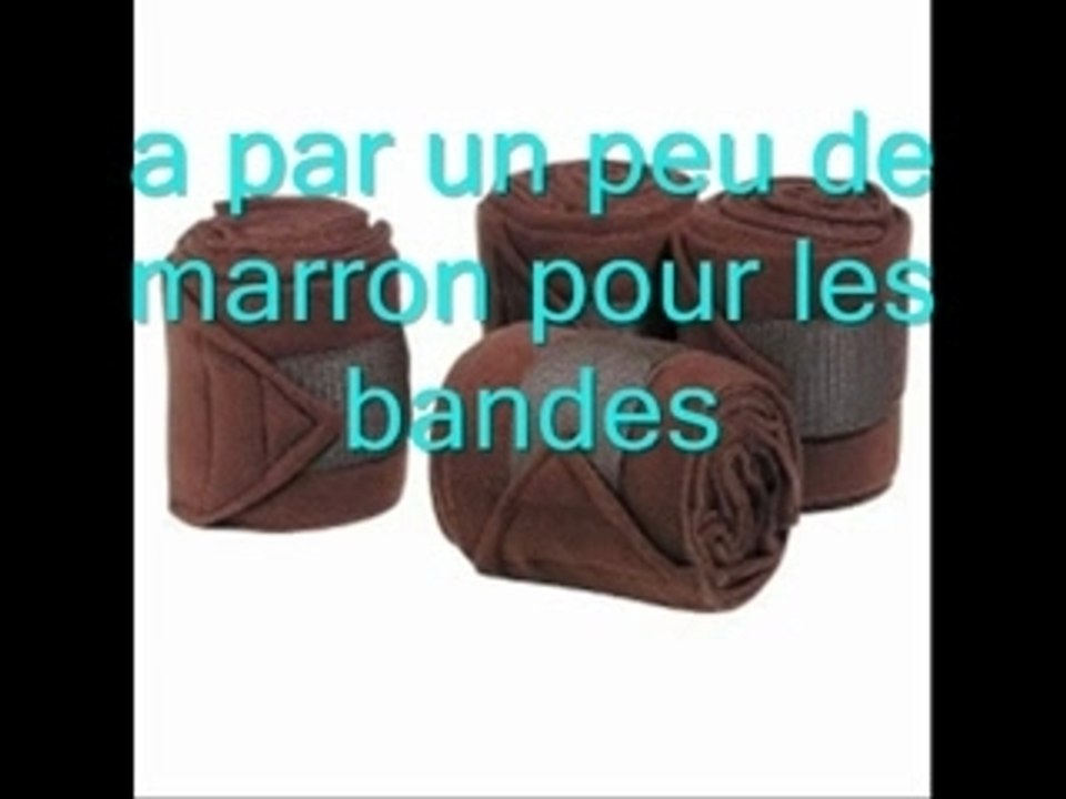 Cc blois cso