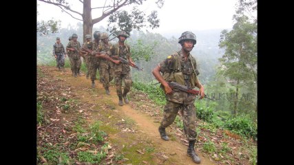 Niththamum En Manam Unthan Mugam Theaduthu Thalaivaa - Tamil Eelam Yaal / Nallur B.Bala - 87280 Limoges - France