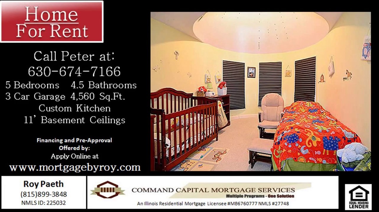 Homes for rent in Oakbrook Terrace Illinois 60181