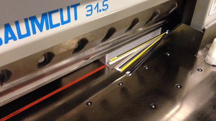 Printing Press Cutter