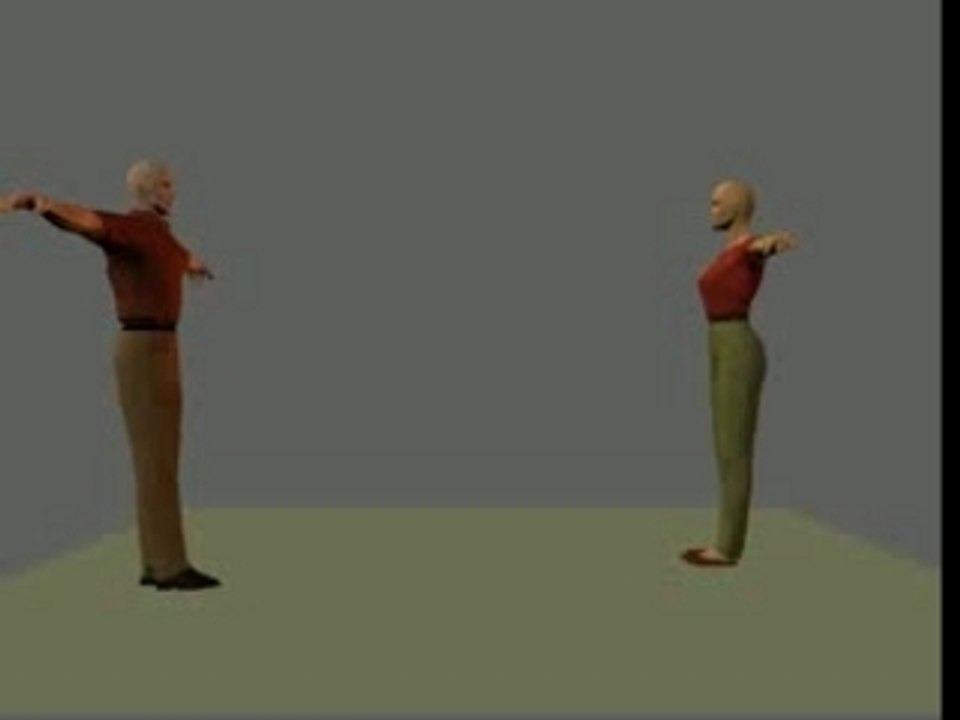 Radslag / Cartwheel