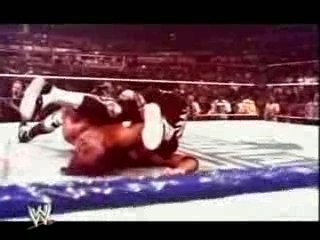 HBK Mocks Hulk Hogan