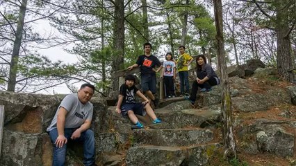 How Much Can I Make summiting articles?