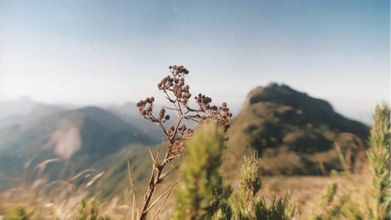 The Newest Features of Google Sitemaps