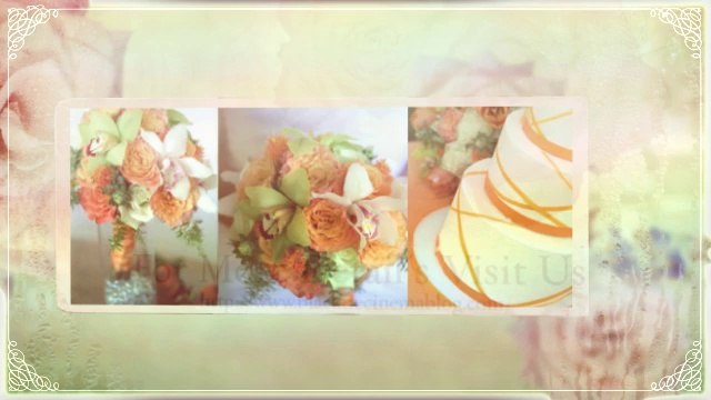 Hawaii Photographers