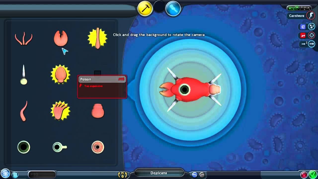 DONGS [05/06/2014] Spore