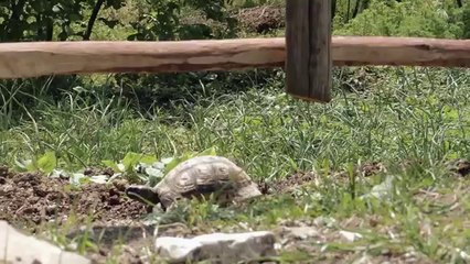 Joker - Boş Bi Liman (VideoKlip) 2014