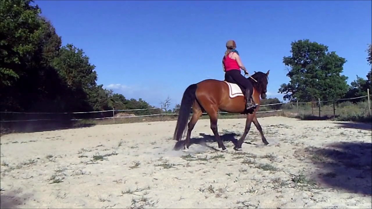 autentica 2émé partie e14.04.14