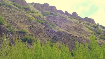 Google search engine optimisation and their 80/20 rule