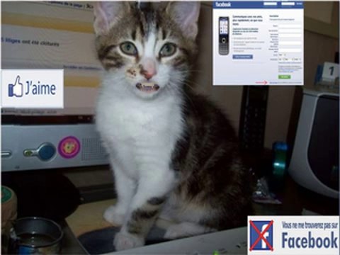 Nous avons des quantités d'amis et pourtant nous sommes seuls