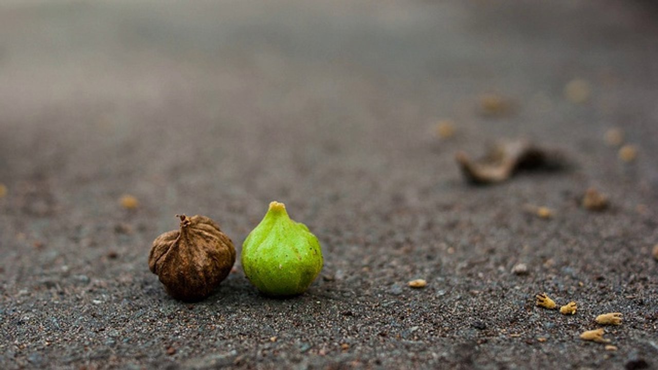 Free Mystery Shopping Jobs