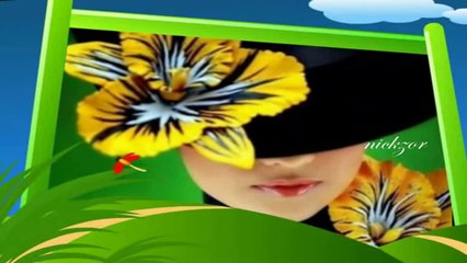 ZEKİ MÜREN - GÖNÜL PENCERESİNDEN