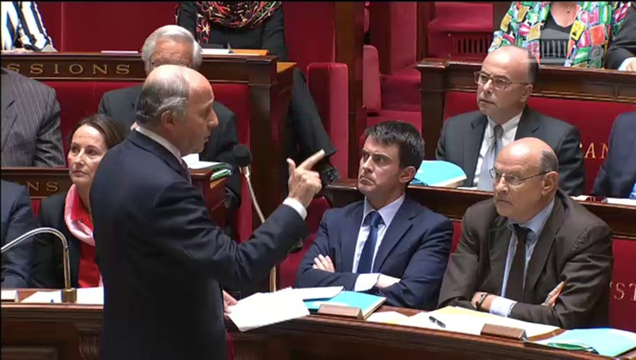 Décès de la journaliste Camille Lepage en Centrafrique : réponse de L. Fabius à l'AN (14/05/2014)
