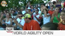 Arriva a Lignano Sabbiadoro il World Agility Open, la competizione per gli amici a quattro zampe