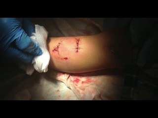 BU SOKAK KEDİSİ ABD'de KAHRAMAN İLAN EDİLDİ