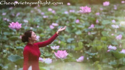 Vietnam Domestic Flights - Flying lotus