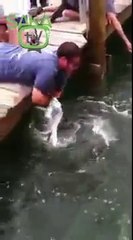 Balıkları Yemlerken Kolunu Balığa Kaptırmak