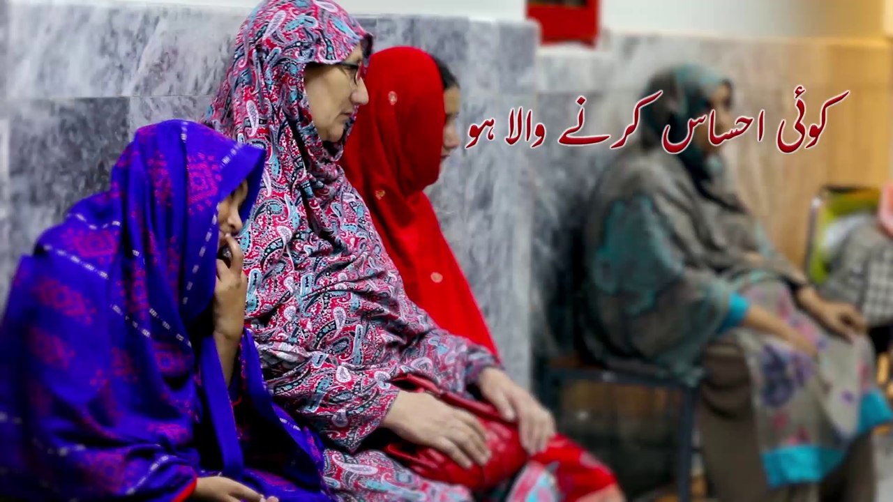 Shifa Foundation Promo