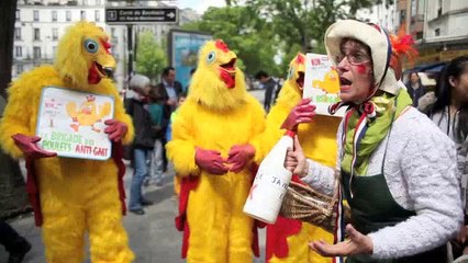 La brigade des poulets- Episode 3