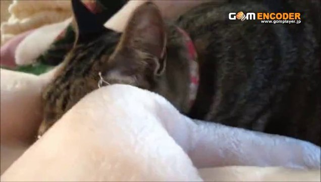 【ダントツ　リセールライト☆再販 実践会】　実践 評価 評判 検証 動画 ブログ 特典 購入 レビュー