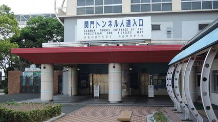 Organic SEO And Link Building