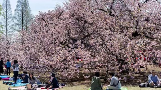 Simple Steps To Starting A Coupon Club!