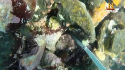 Treasure hunters loot wreck of 'Columbus' flagship'