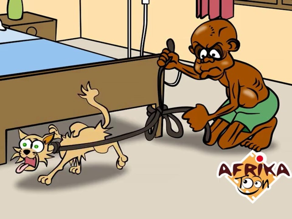 LA BLAGUE DU JOUR - LE CHAT