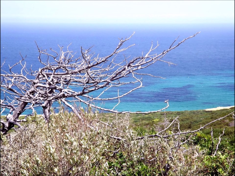 Bizerte Cap Blanc * El Haouria