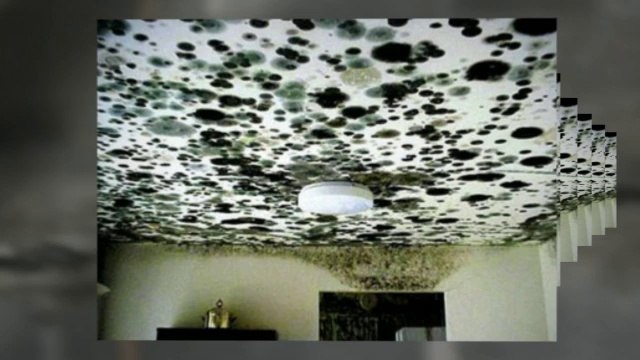 Nashville Home Inspector | Nashville Home Inspection