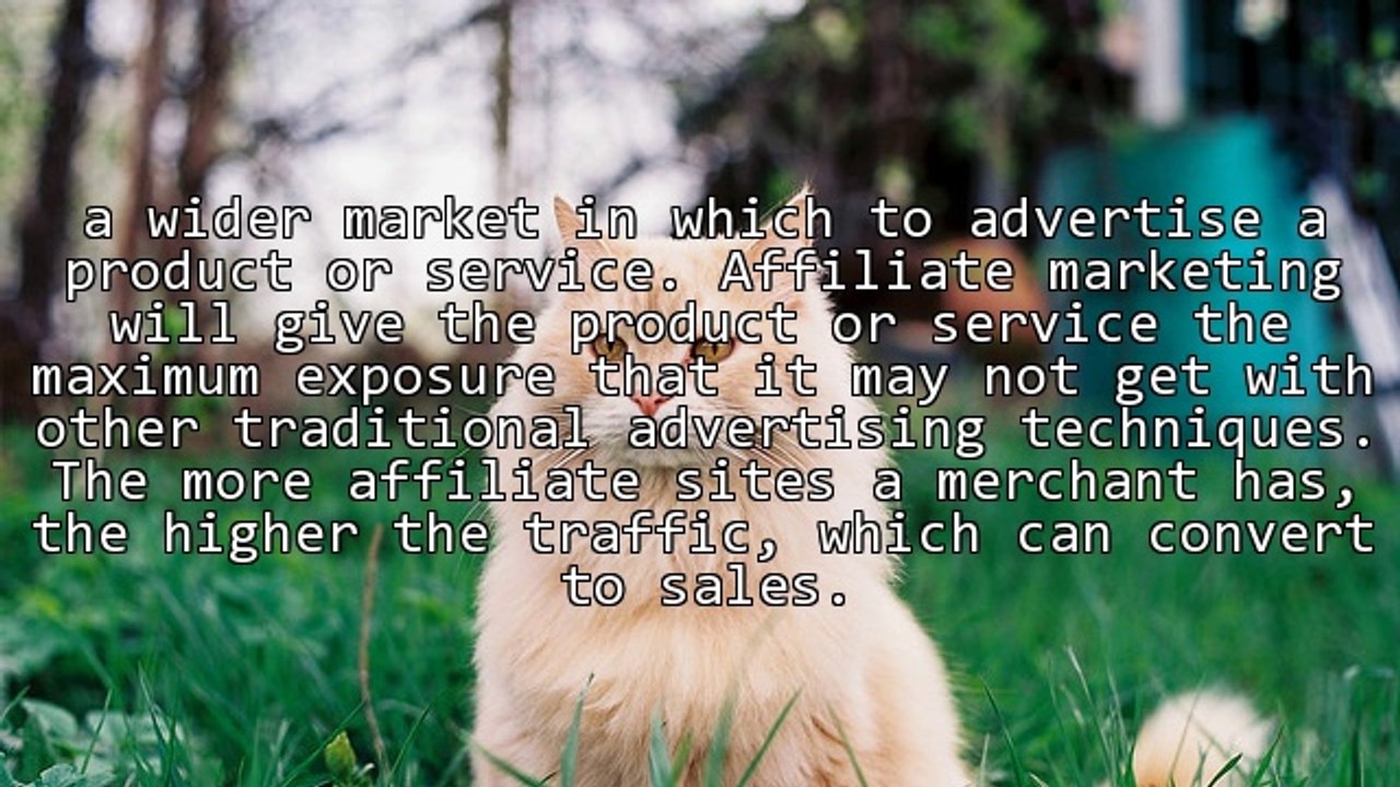 Benefits of Being an Online Affiliate Marketer