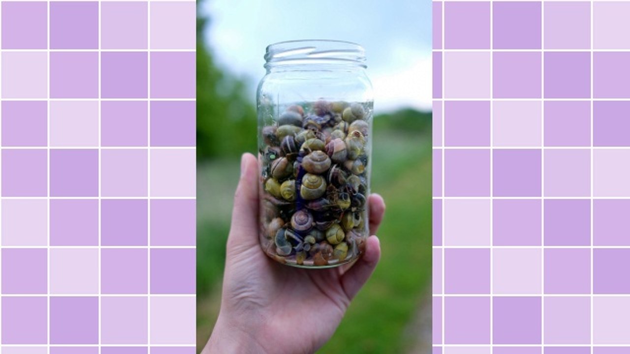 Blogging:  Advances In The Numbers