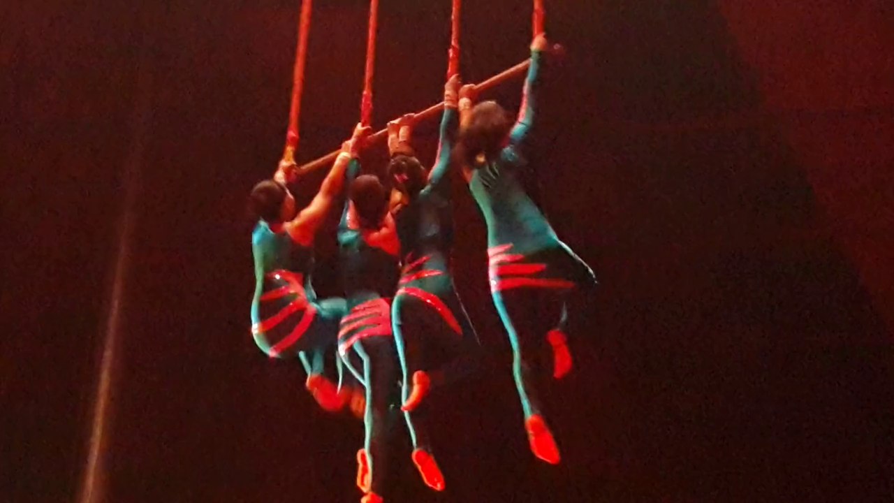 Circus at Jalandhar (15)