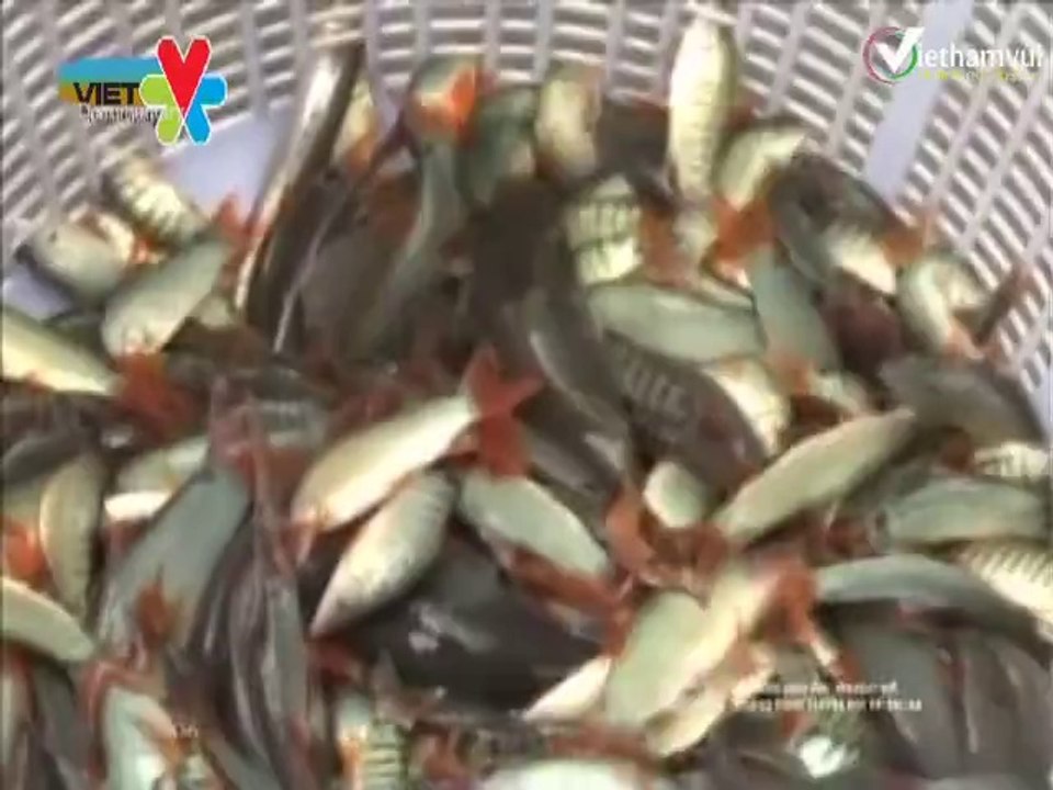 Duyen-PSMienTayMuaNuocNoi_4_Part1