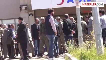 Kızgın İnek Sahibini Öldürdü