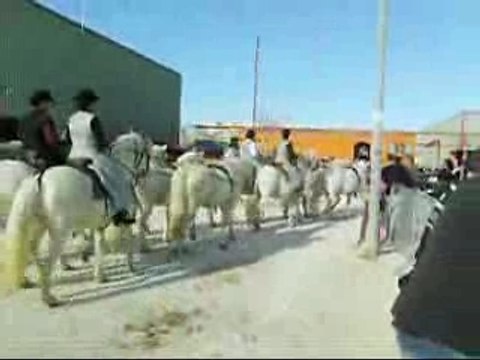 Cheval Passion longues rênes