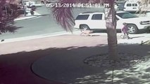 Cat SAVES Boy From Dog Attack. Hero Cat Saves Young Boy from Attacking Dog Bakersfield California