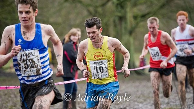 Yahoo Search Marketing For Advertisers