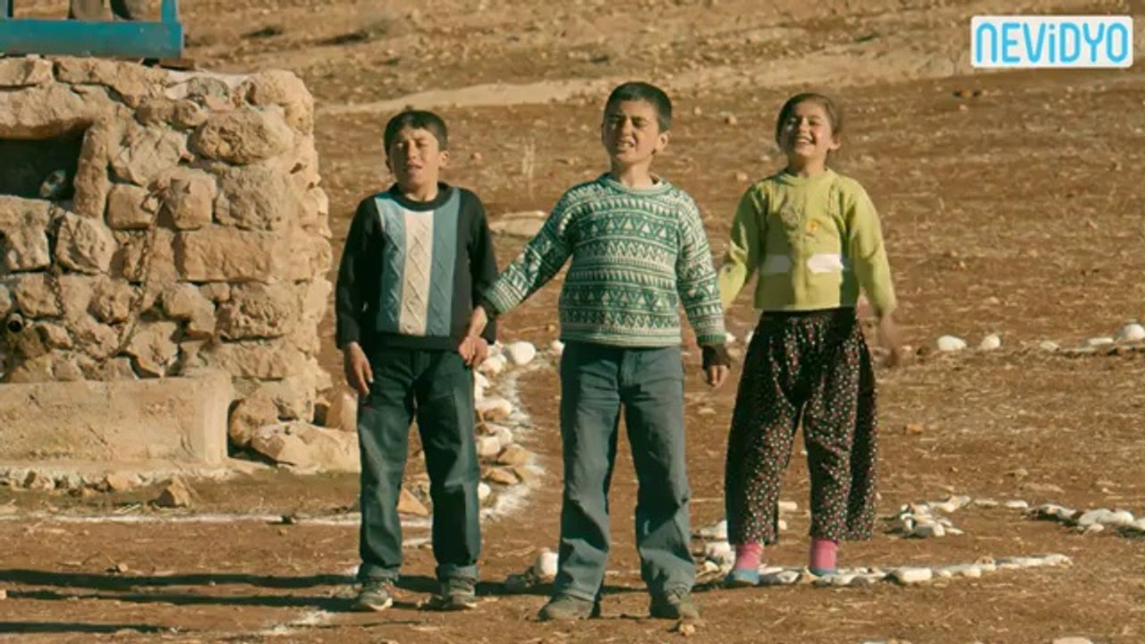 türk hava yolları reklami