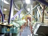 latest video upload for, Abroad Flour mills machinery tour ,mini big plants ,hardware ,spareparts etc and a lot of other products, daroghewala gt road lahore pakistan ,by m rizwan