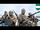 Boko Haram insurgents kill 60 in attack in northern Nigeria