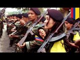 Colombia FARC attack: soldiers neutralize insurgents' attempt to blow up Pan-American highway