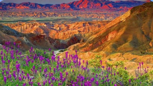 CENGİZ ÖZKAN-MUNZUR DAĞI SİLELENMİŞ